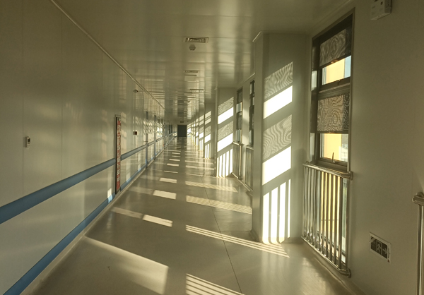 黑鸡巴操逼视频